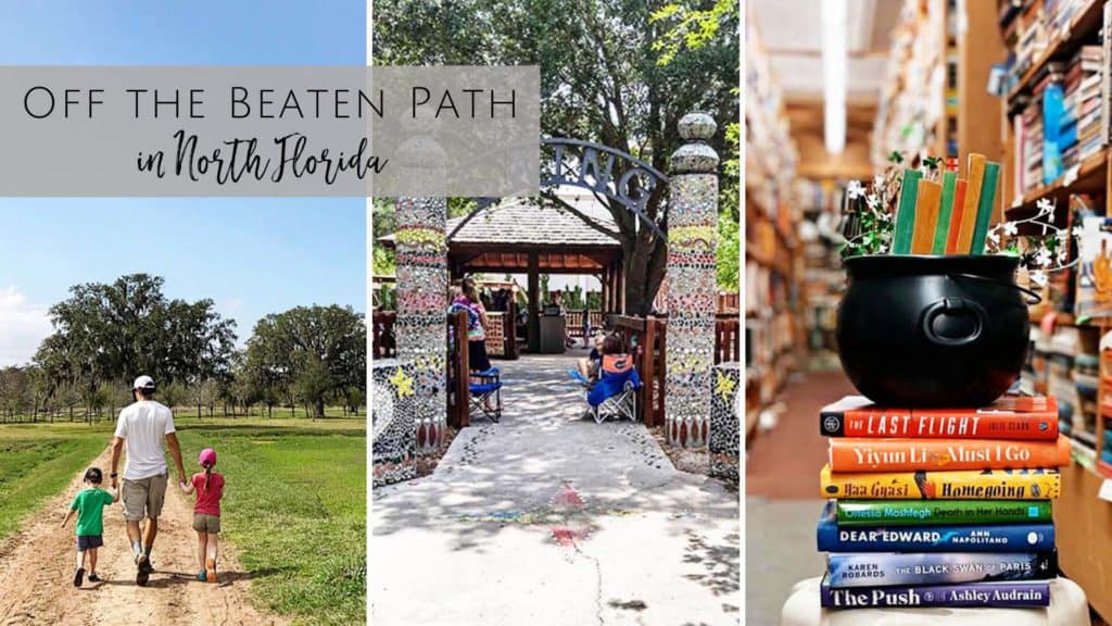 Hidden Gems for Kids in Jacksonville