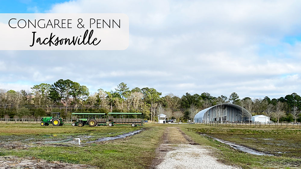 Congaree & Penn Farm in Jacksonville, FL