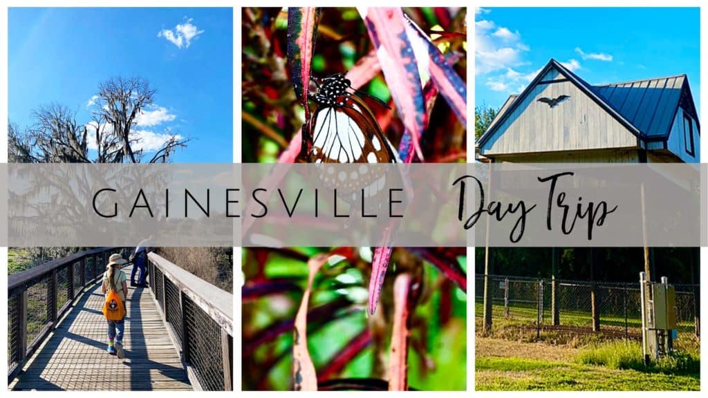 Day Trip to Gainesville, FL - 5 Family Friendly Activities for Kids