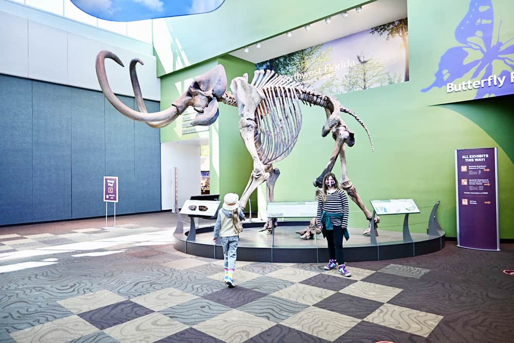 Florida Museum of Natural History in Gainesville
