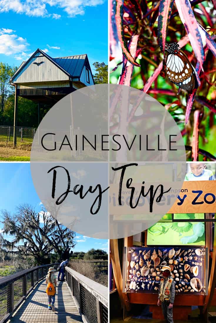 Day Trip to Gainesville, FL with Kids - 5 Things Not to Miss