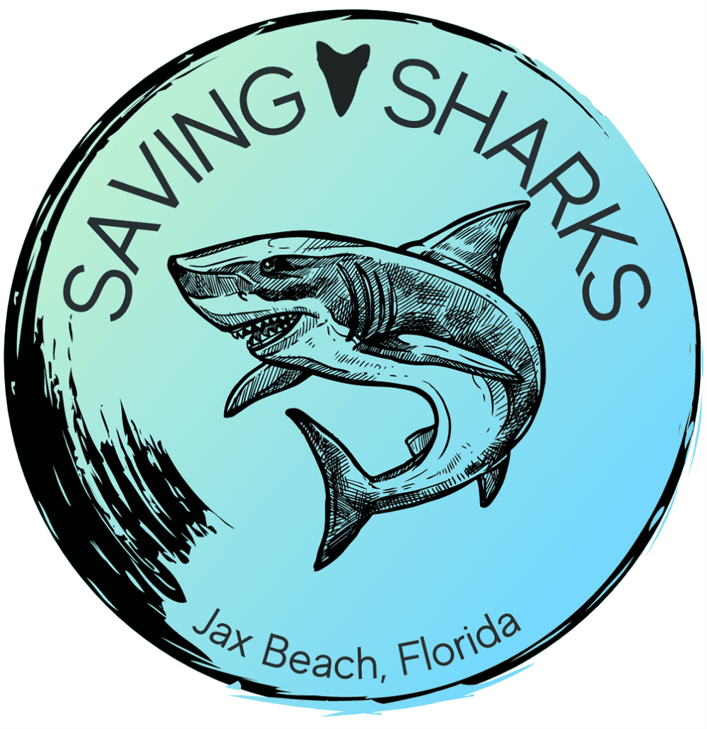 Saving Sharks Charity in Jax Beach