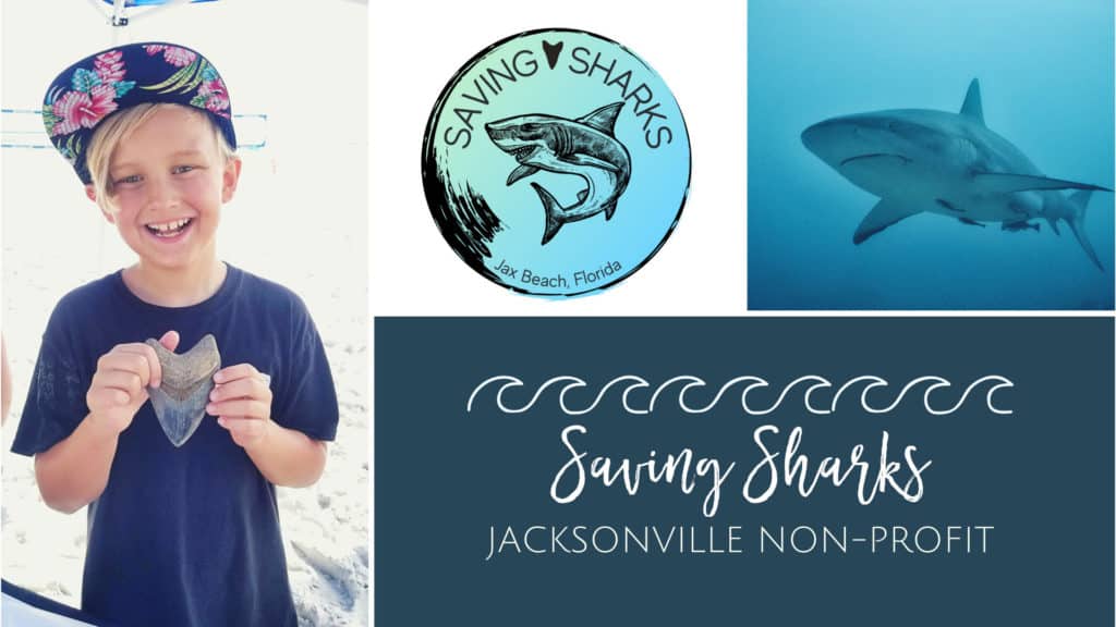 Saving Sharks Non Profit in Jacksonville Beach, FL
