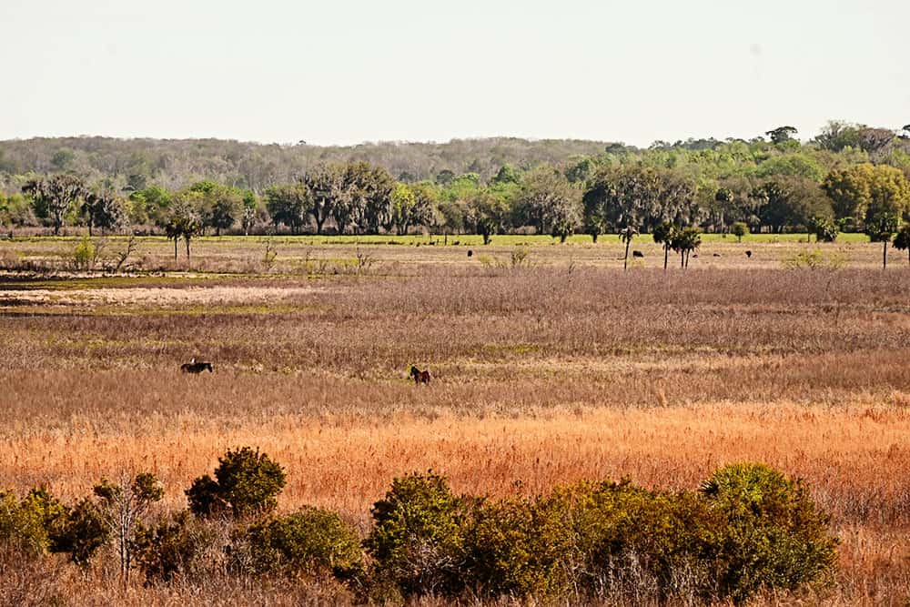 State Parks in Gainesville, FL