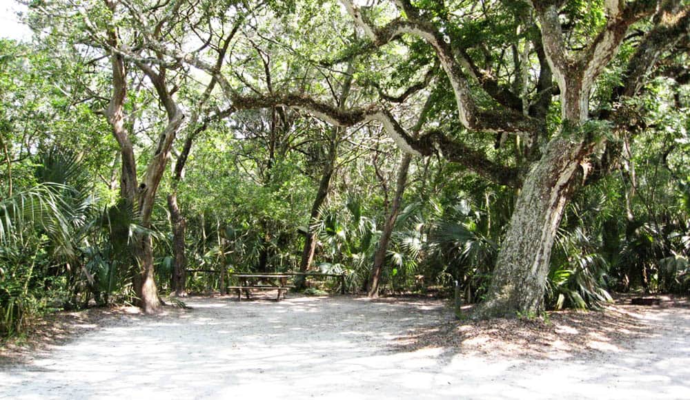 Camping at Anastasia State Park near Jacksonville, FL