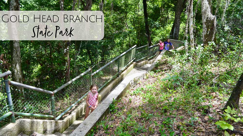 Mike Roess Gold Head Branch State Park with Kids