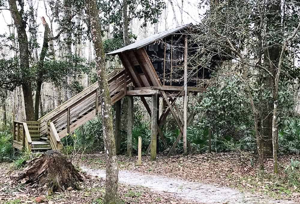 Treehouse camping near Jacksonville