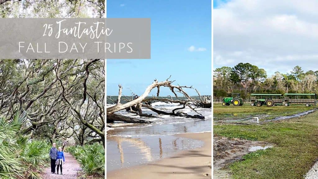 25 Fabulous Fall Day Trips from Jacksonvillle