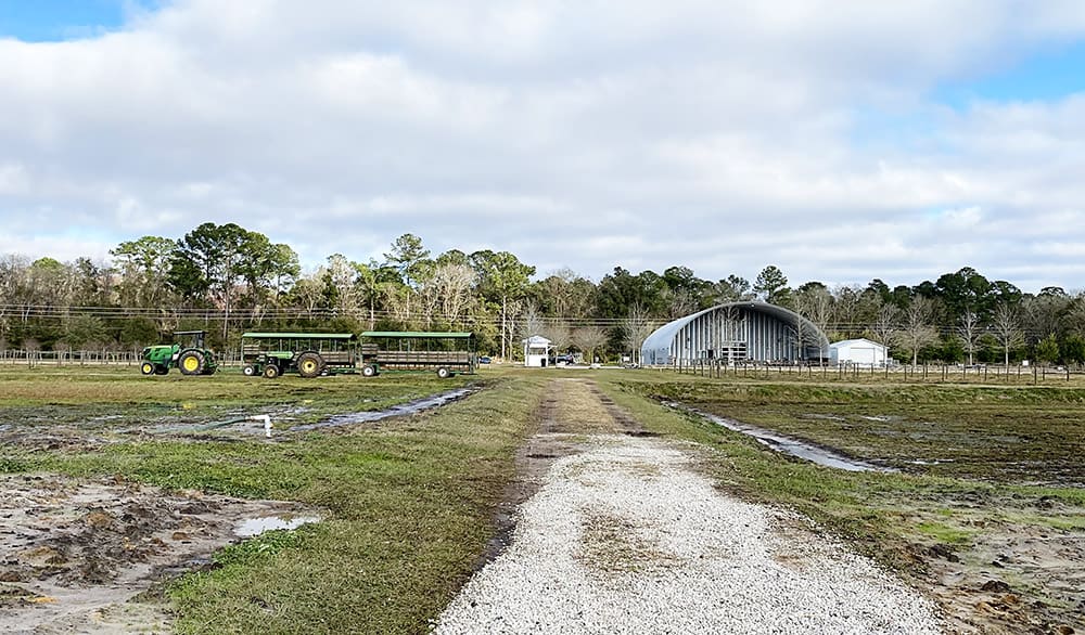 Fall Day Trip to a Farm in North Florida