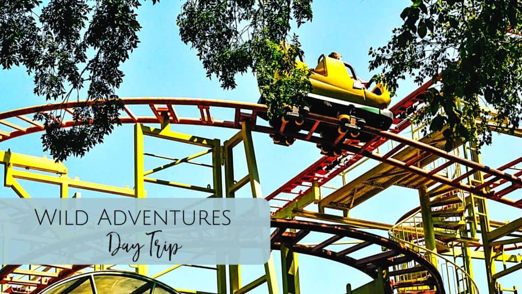 Wild Adventures Valdosta