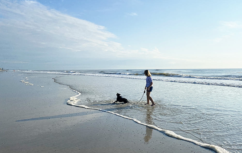 Where in Jacksonville can I take my dog to the beach?