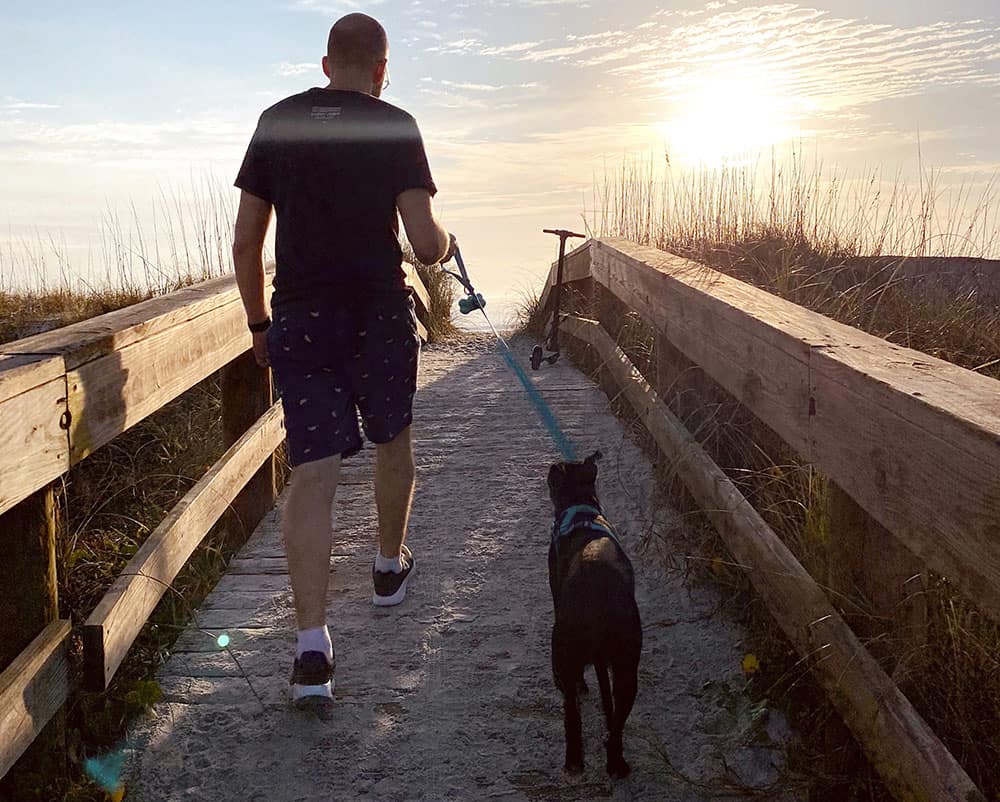 Dog Friendly Beaches in North Florida