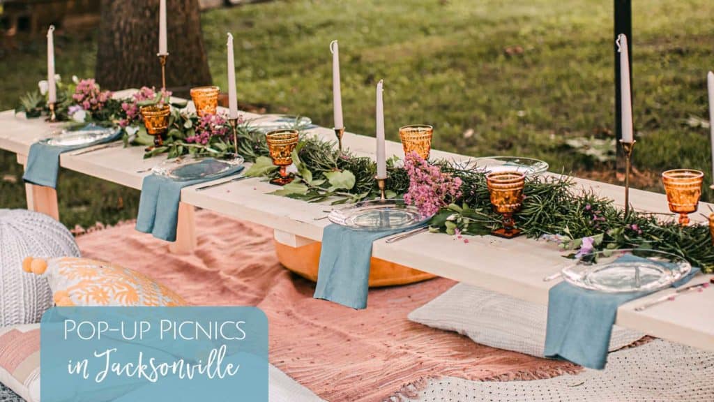 Jacksonville Pop Up Picnics