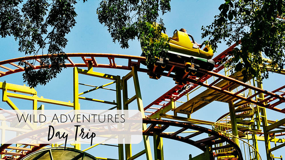 Wild Adventures Theme Park in Valdosta, GA