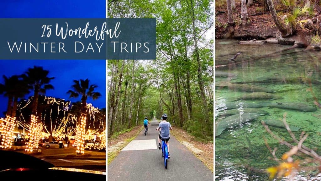 Wonderful Winter Day Trips From Jacksonville