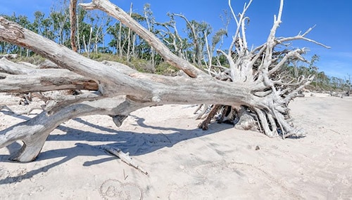 Where is Boneyard Beach?