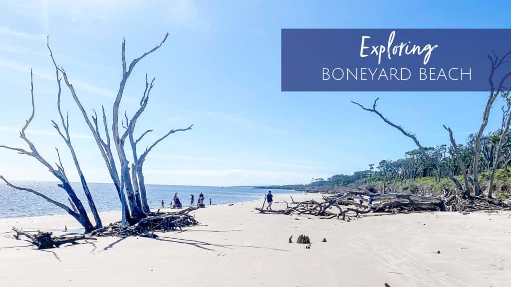 Boneyard Beach Jacksonville