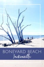 Exploring Boneyard Beach - Jacksonville Beach Moms