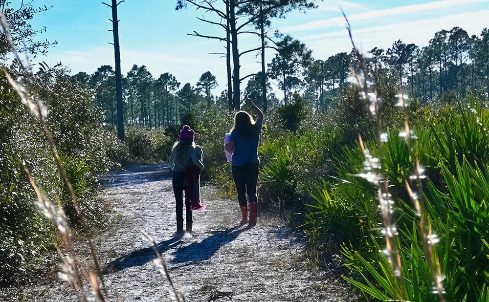 Hiking around Jacksonville 