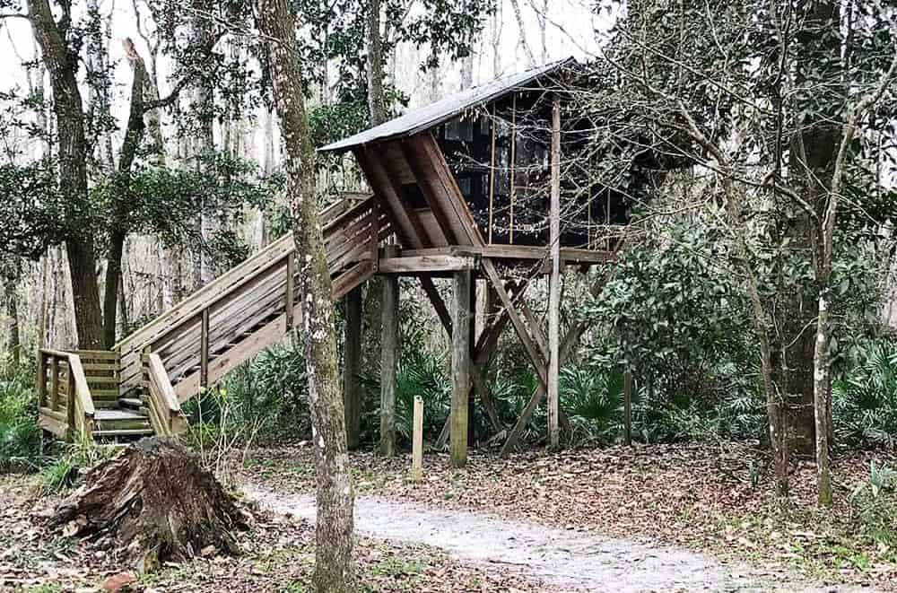 Treehouse Cabins where you can Camp in North Florida