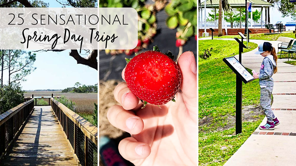 25 Spring Day Trips from Jacksonville, FL