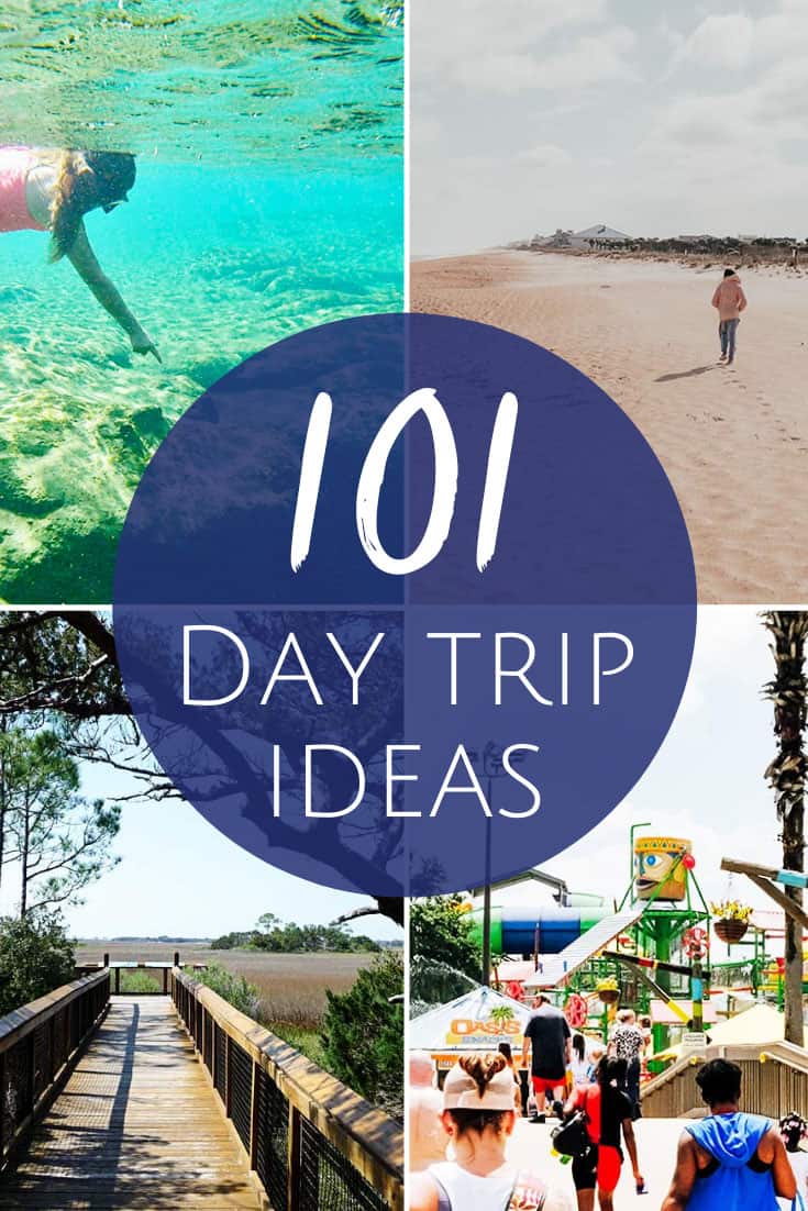 Kid Friendly Day Trips from Jacksonville