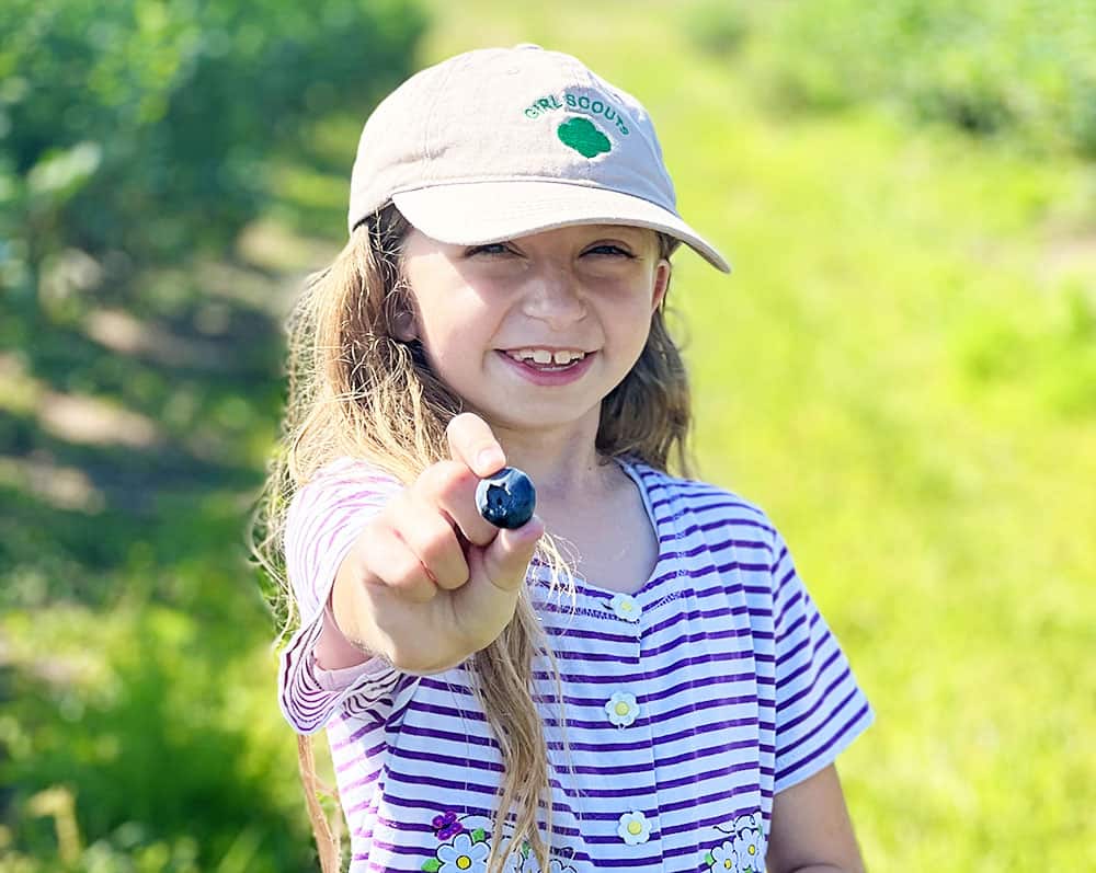 Blueberry picking in Jacksonville