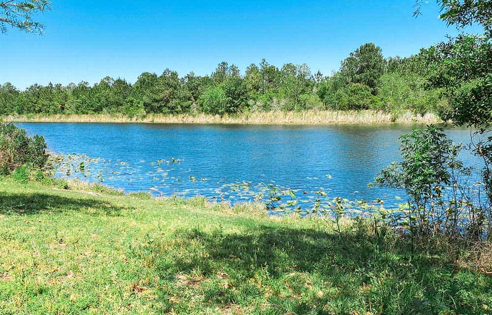 Pond at Fort Family Regional Park in Jacksonville, FL