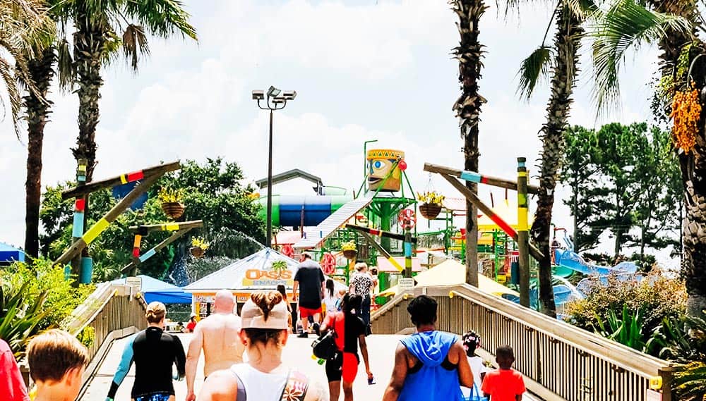 Theme Park and Attraction Day Trips from Jacksonville