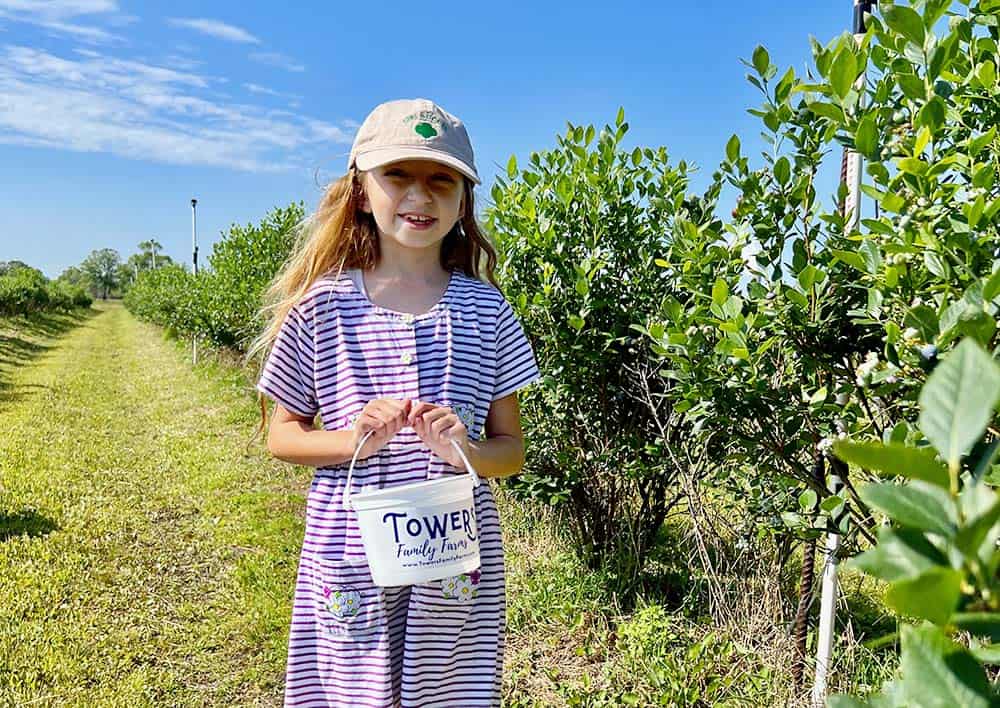 Towers Family Farm Strawberry & Blueberry Picking