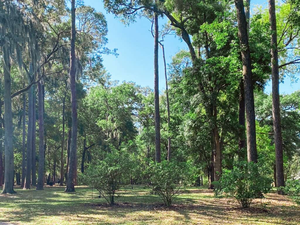 Boone Park Jacksonville, FL