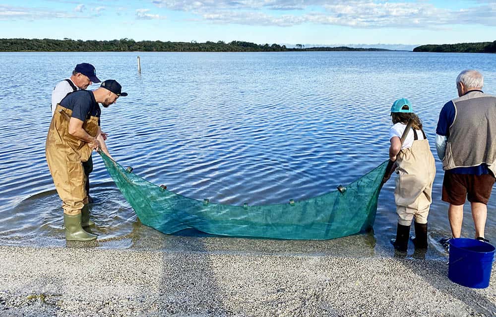 Seining at GTM Research Reserve