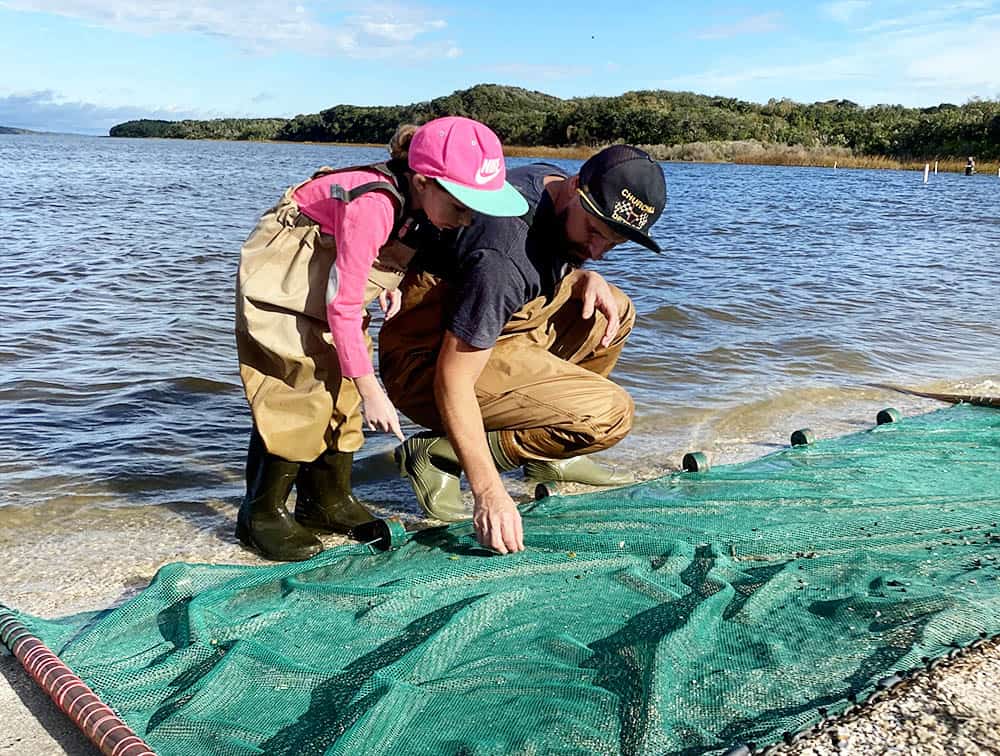 Seining at Guana Research Reserve