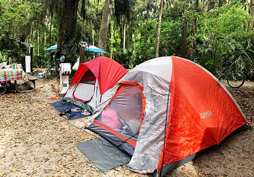 Where to camp with kids in North Florida!