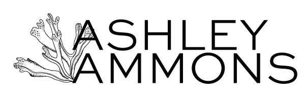 Ashley Ammons Photographer in Jacksonville