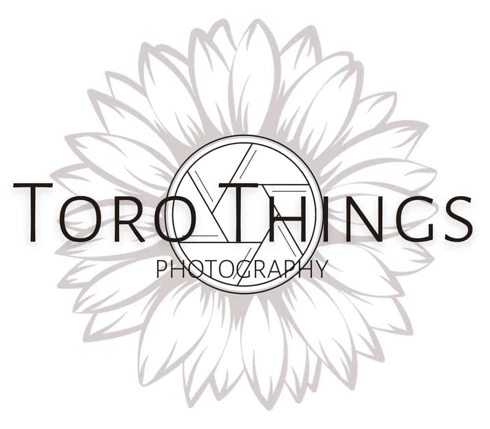 Toro Things Photography in Jacksonville