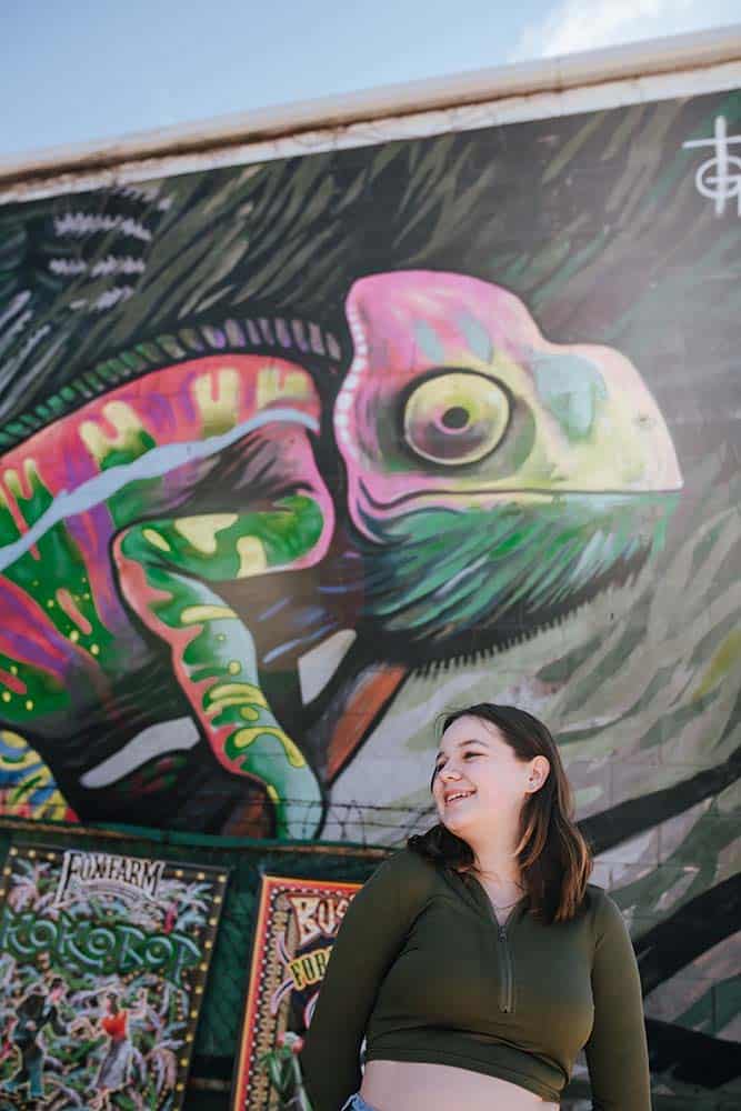 Chameleon Mural in Jacksonville, FL