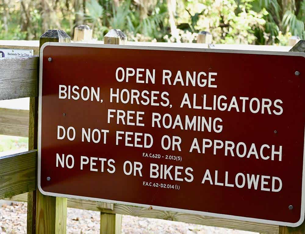 Wildlife at Paynes Prairie Preserve State Park in Gainesville, FL