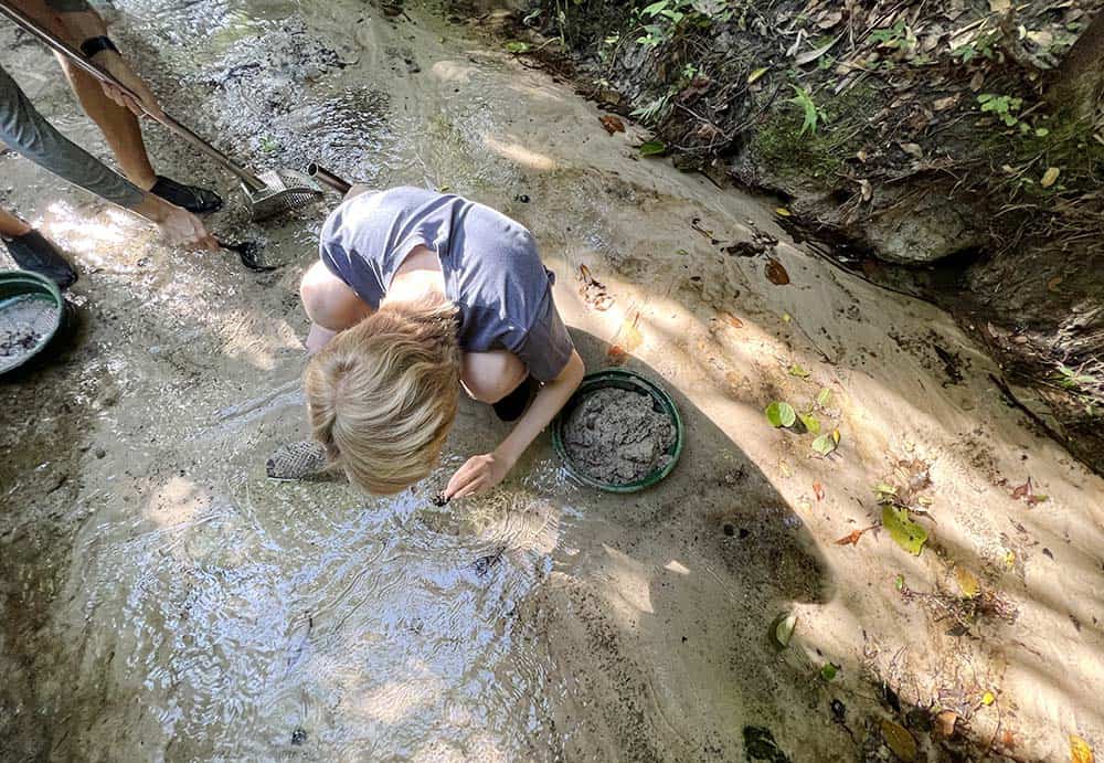 Hunting for Fossils in Gainesville, FL