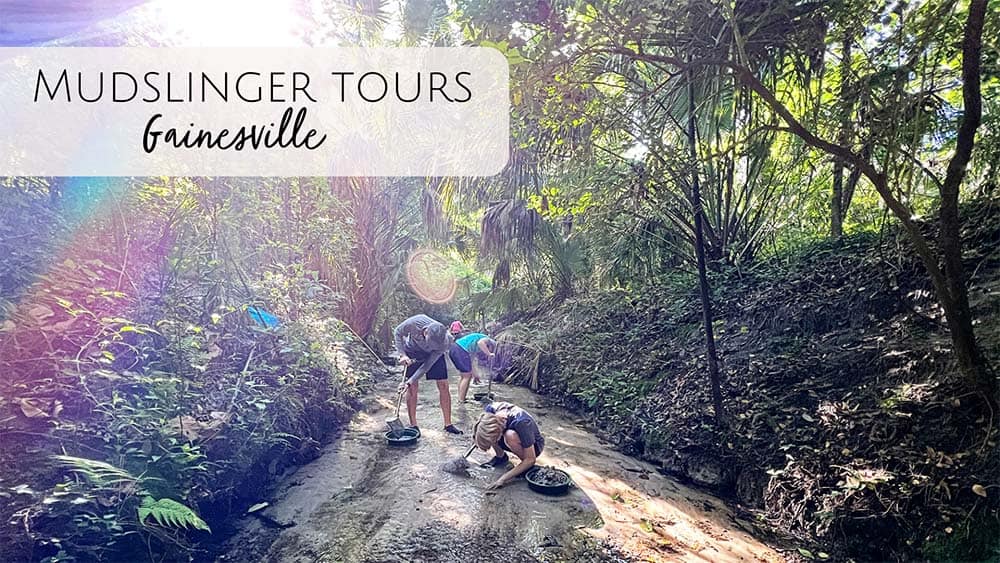 Mudslinger Shark Tooth & Fossil Tours in Gainesville, FL