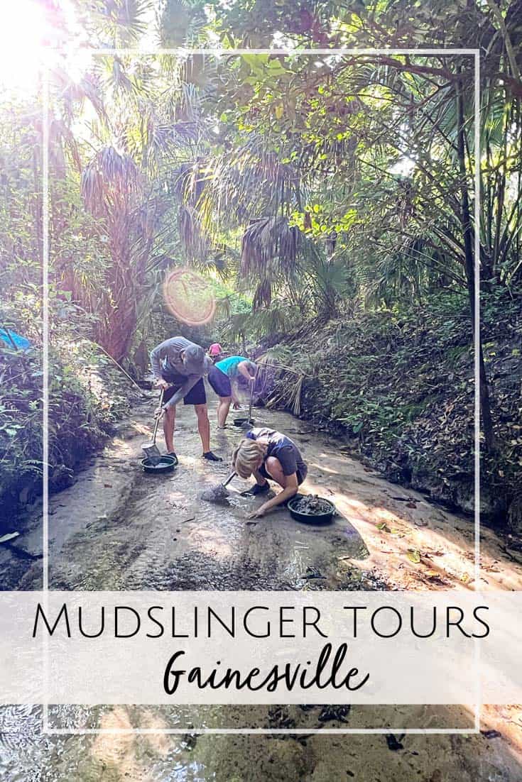 Mudslinger Shark Tooth & Fossil Tours in Gainesville, FL