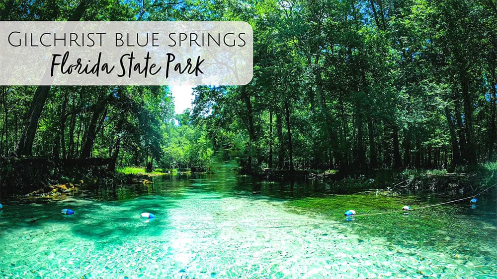 Gilchrist Blue Springs State Park in Florida