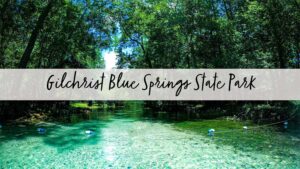 Gilchrist Blue Springs State Park in Florida