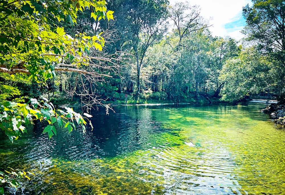 Blue Green water in Central Florida Springs