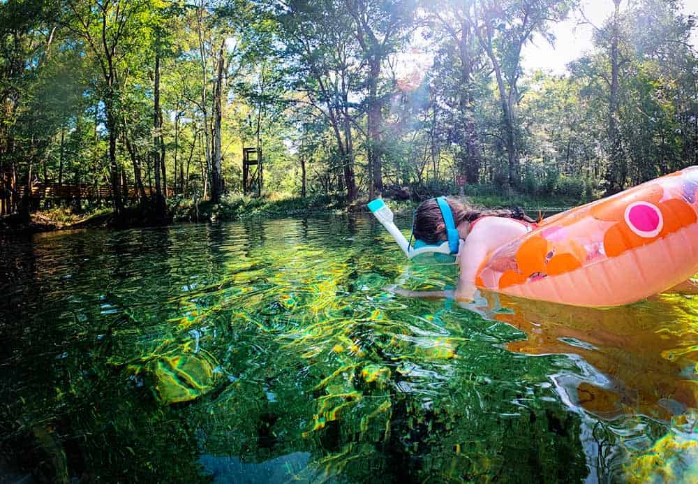 Snorkeling at Poe Springs