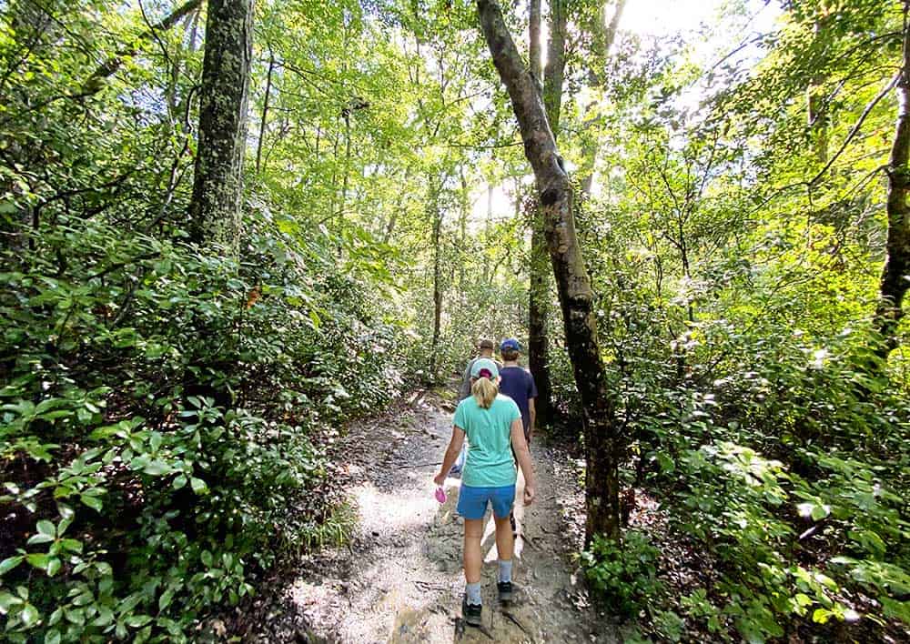 Cradle Creek Preserve in Jacksonville, FL