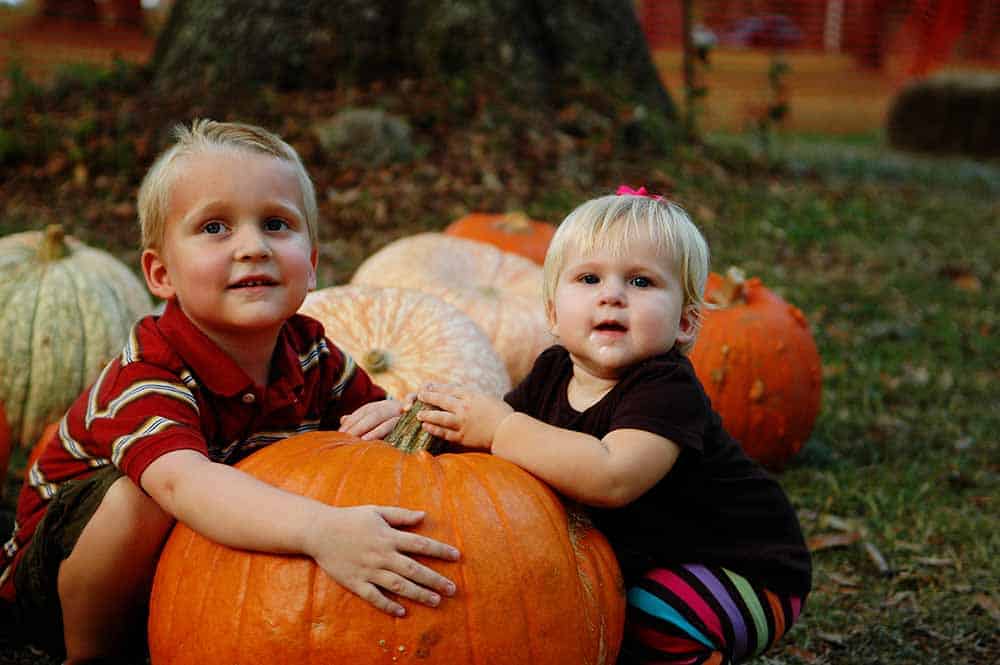 The best Pumpkin Patch in Jacksonville