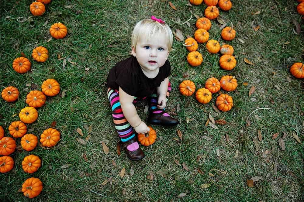 Where to find the best pumpkin patch in North Florida