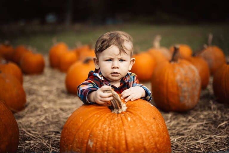Find the Perfect Pumpkin Patch in Jacksonville Jacksonville Beach Moms
