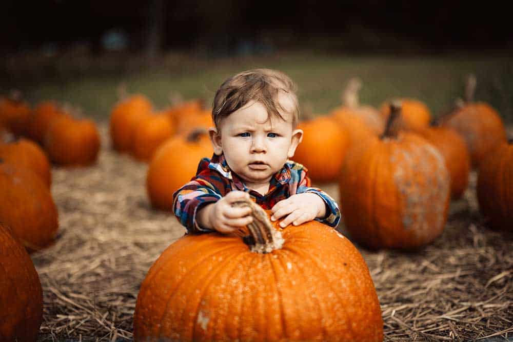 Pumpkins for kids in Jacksonville